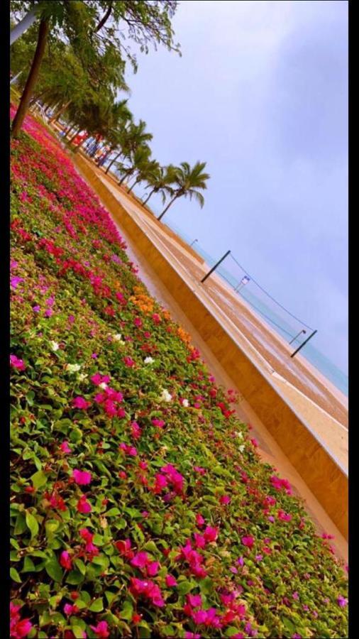 أستديو توليب مارينا الفندقي King Abdullah Economic City エクステリア 写真